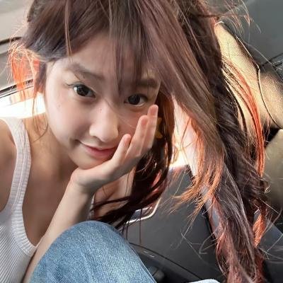 芝加哥警署第五季